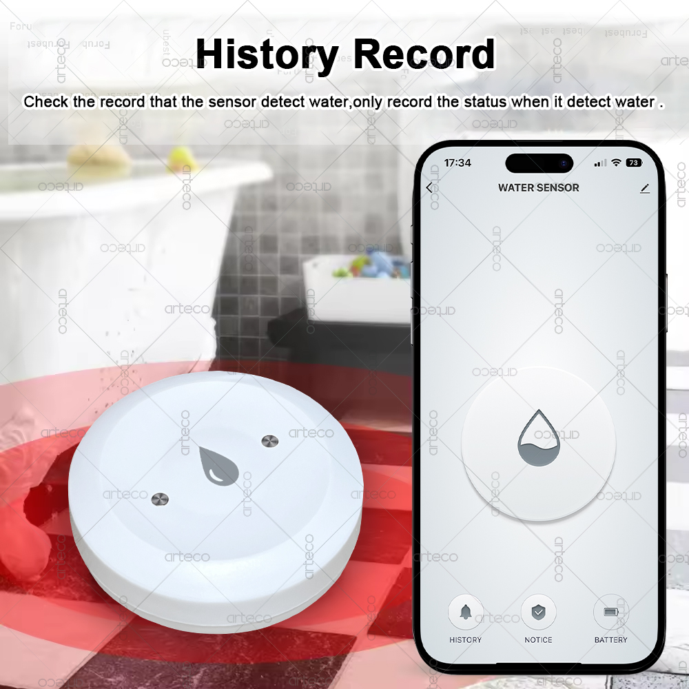 Tuya Smart Zigbee Water Sensor - Smart Home Zigbee Gateway recension och pris